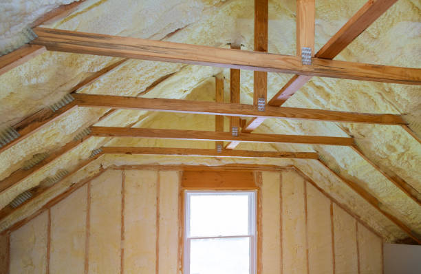 Professional Insulation Contractor in Foresthill, CA