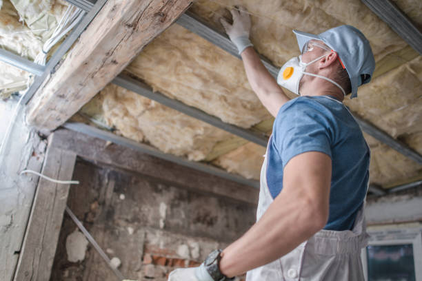 Best Energy Efficiency Insulation in Foresthill, CA
